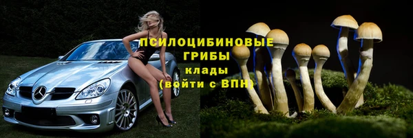 крисы Волоколамск