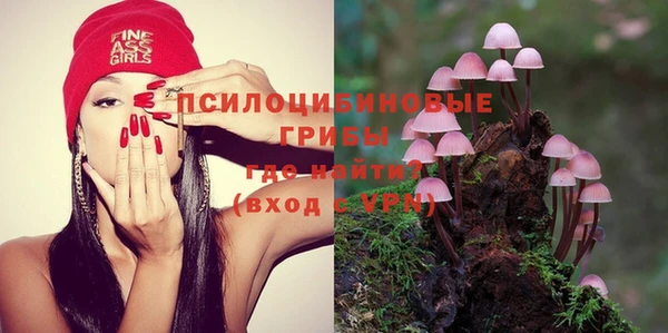 крисы Волоколамск