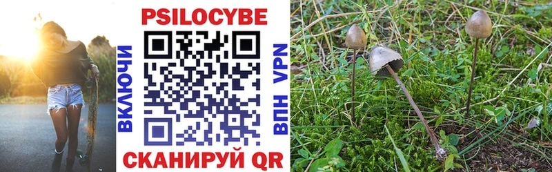 кракен зеркало  Ирбит  Псилоцибиновые грибы MAGIC MUSHROOMS 