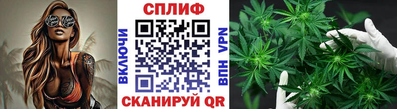 Бошки Шишки SATIVA & INDICA  купить наркотик  Ирбит 